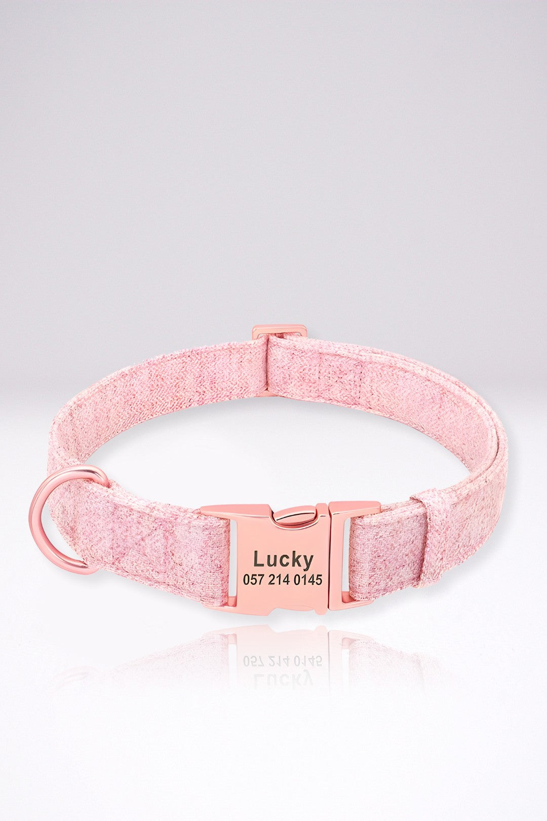 Collier Chien Personnalisé Julie Rose en Nylon