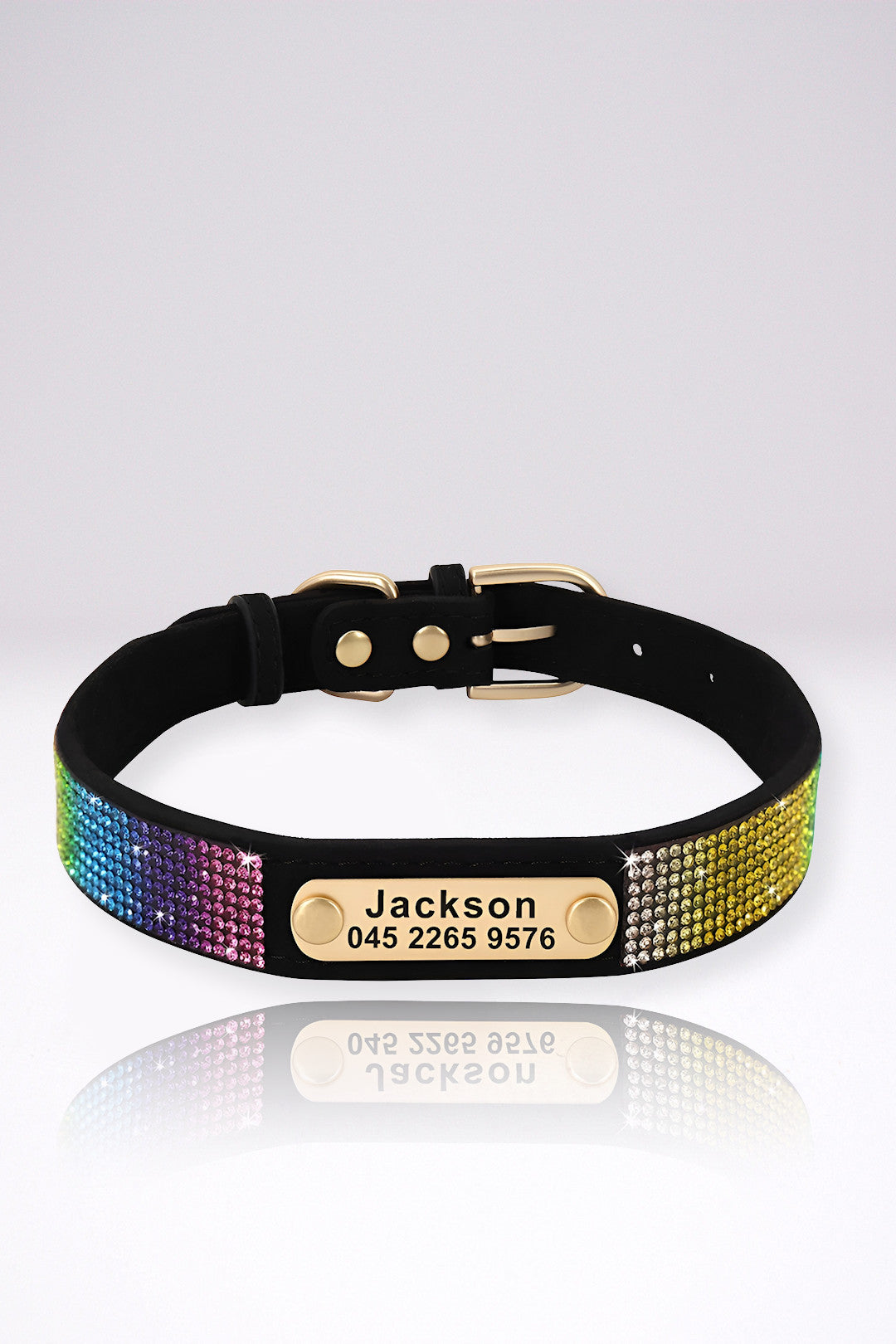 Collier Chien Personnalisé Fanny Noir et Arc En Ciel en Cuir