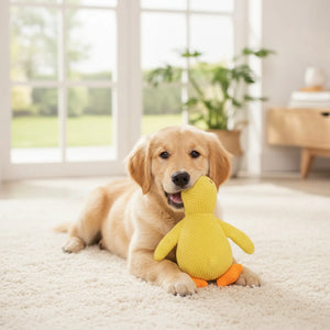 Canard Peluche Sonore pour Chien