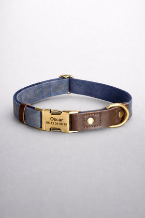 Collier Chien Personnalisé Bleu Balatoutou