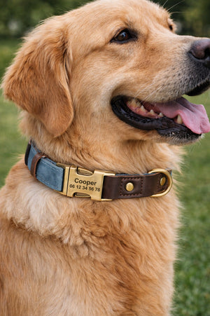 Collier Chien Personnalisé Bleu Ciel Balatoutou