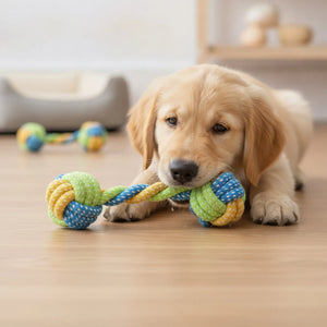 Corde à Mâcher Interactive en Coton pour Chien
