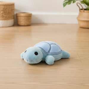 Peluche Tortue Sonore pour Chien