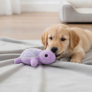 Peluche Tortue Sonore Résistante pour Chien Violette