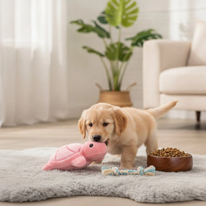 Peluche Tortue Sonore Résistante pour Chien
