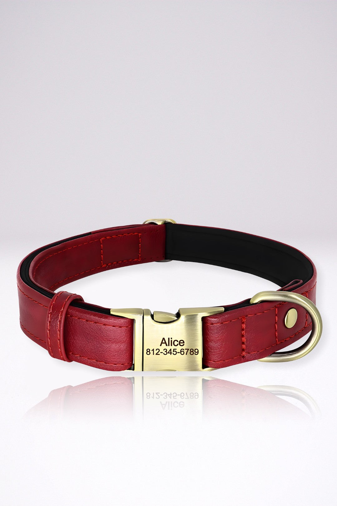 Collier Chien Personnalisé Gérard Rouge en Cuir