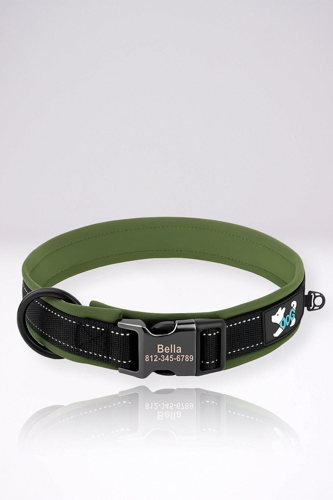 Collier Chien Personnalisé Christopher Vert en Nylon