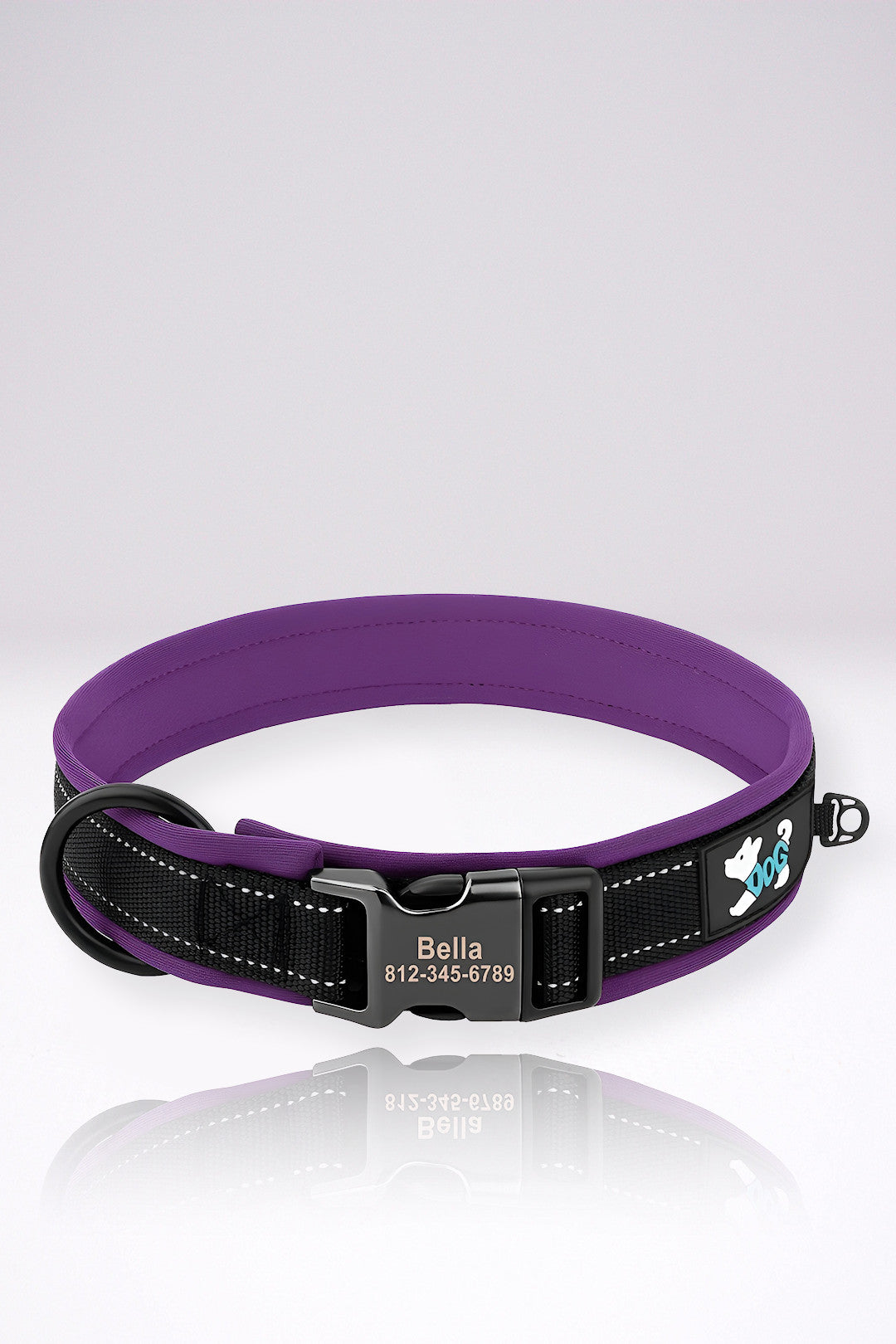 Collier Chien Personnalisé Christopher Violet en Nylon