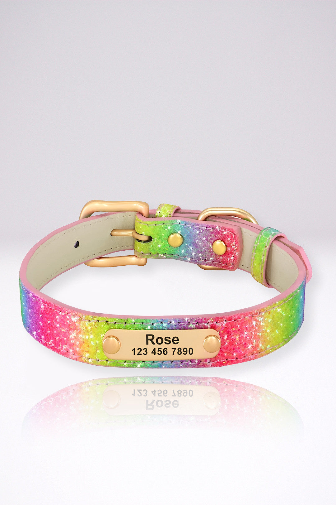 Collier Chien Personnalisé Fanny Arc En Ciel en Cuir