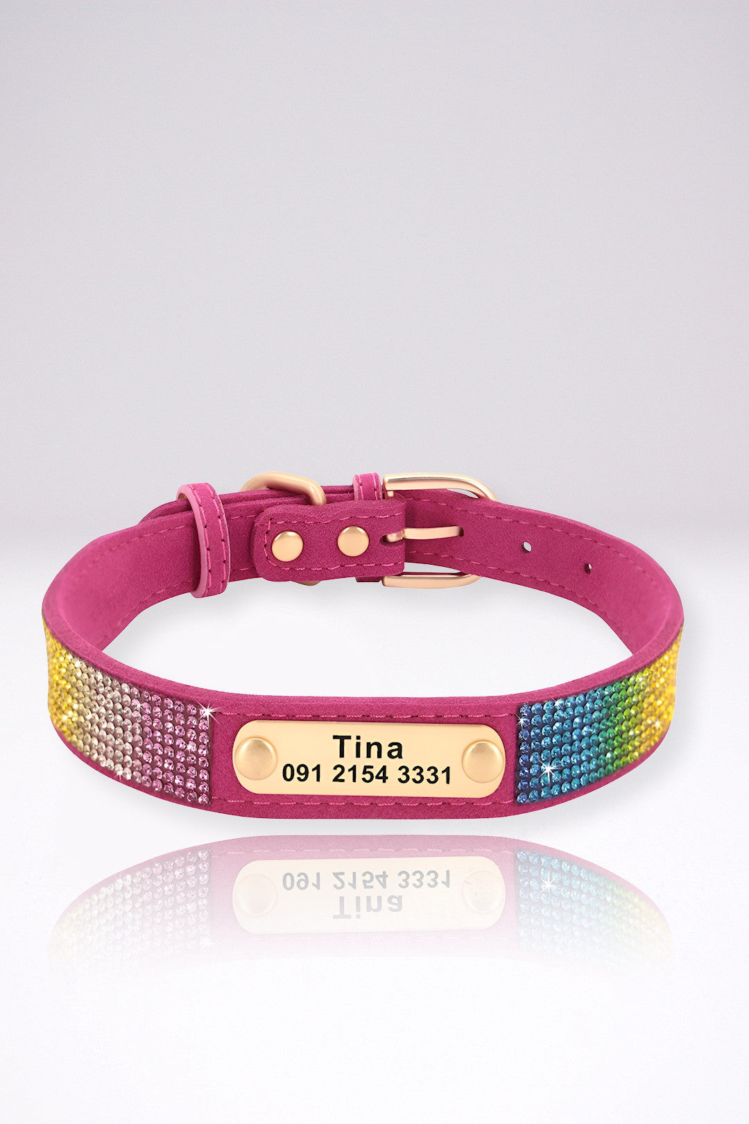 Collier Chien Personnalisé Fanny Rose et Arc En Ciel en Cuir