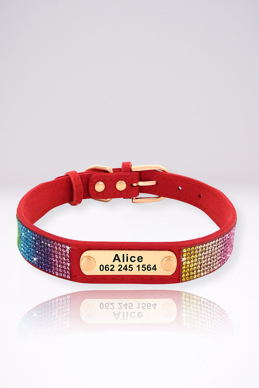 Collier Chien Personnalisé Fanny Rouge en Cuir