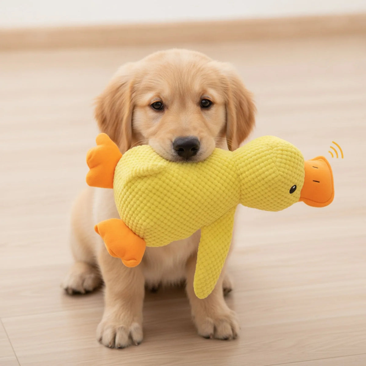 Canard Peluche Sonore pour Chien