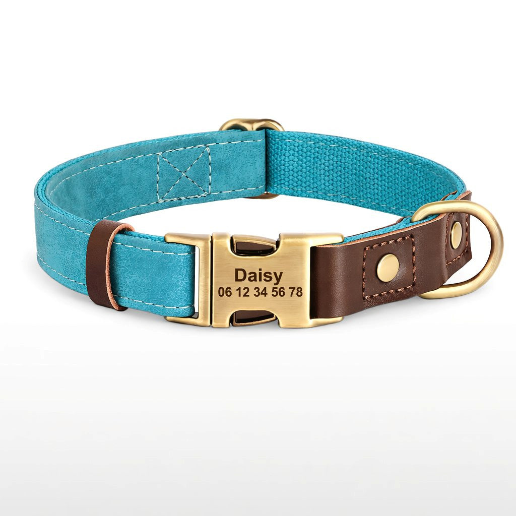 Collier Chien Personnalisé Cyan Balatoutou