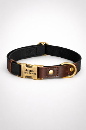 Collier Chien Personnalisé Noir Balatoutou
