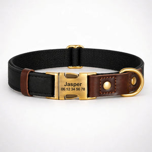 Collier Chien Personnalisé Noir Balatoutou