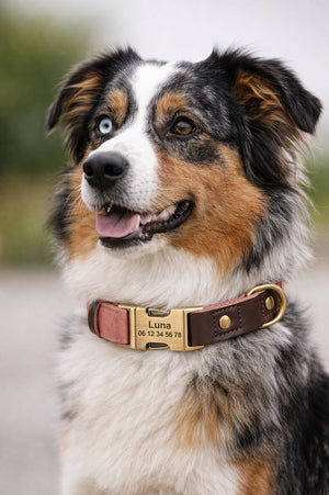 Collier Chien Personnalisé Rose Pâle Balatoutou