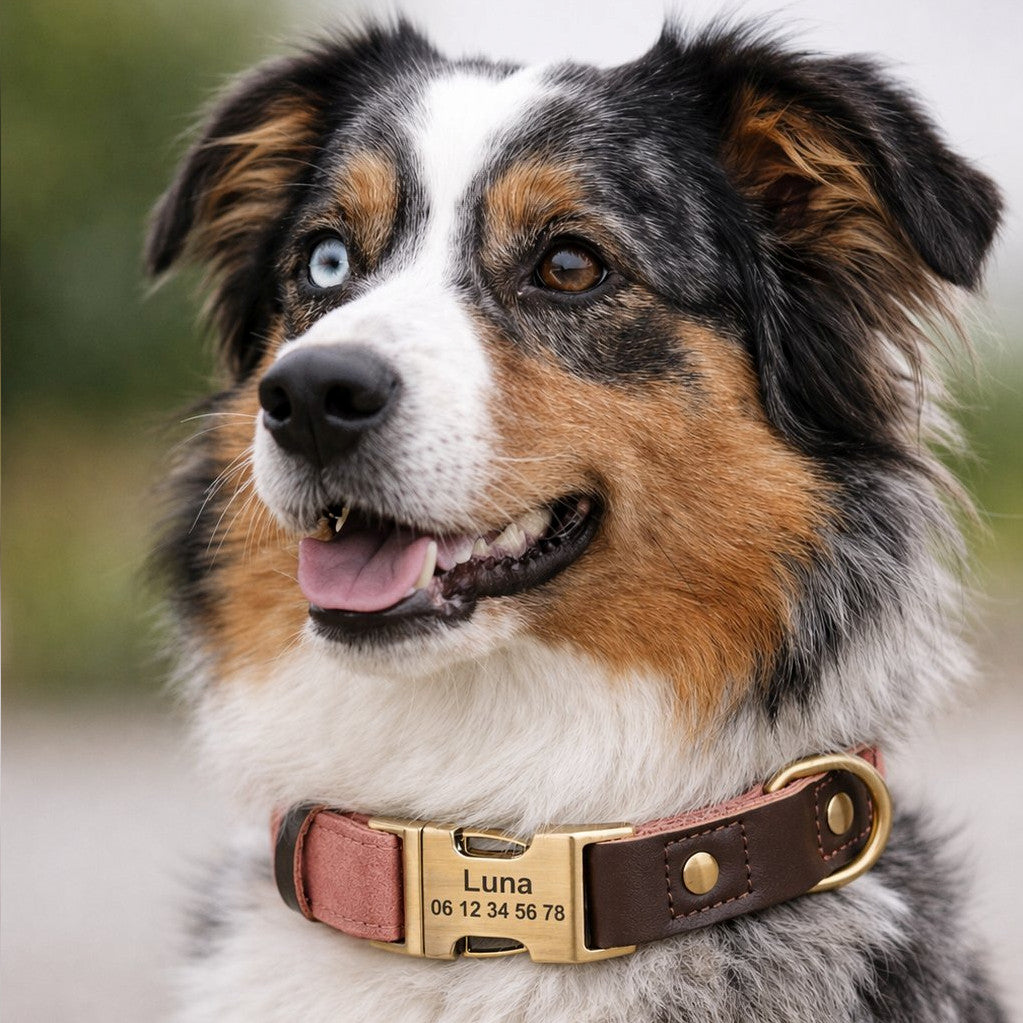 Collier Chien Personnalisé Rose Balatoutou