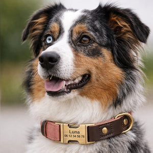 Collier Chien Personnalisé Rose Balatoutou