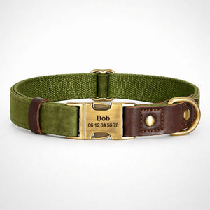 Collier Chien Personnalisé Vert Balatoutou