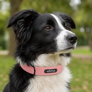 Collier Personnalisé Rose Poudré Collitoutou