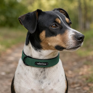 Collier Personnalisé Vert Sauge Collitoutou