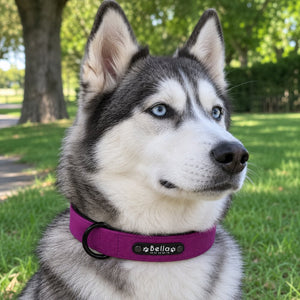 Collier Personnalisé Violet prune Collitoutou