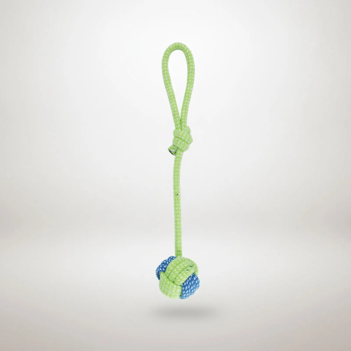 Corde Coton Interactive Chien : Jeu & Hygiène Dentaire