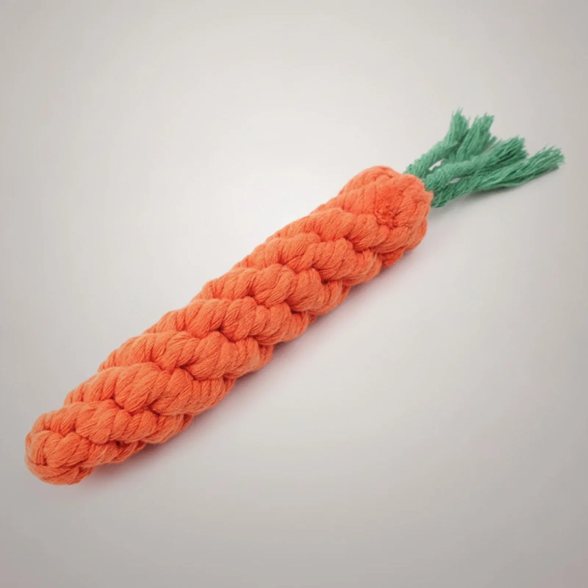 Corde à mâcher Carotte pour Chien