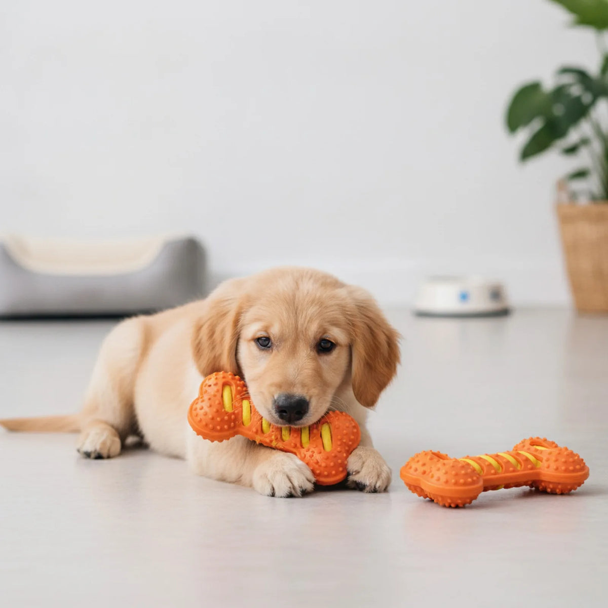 Jouet Bâton Interactif Siffleur pour Chien