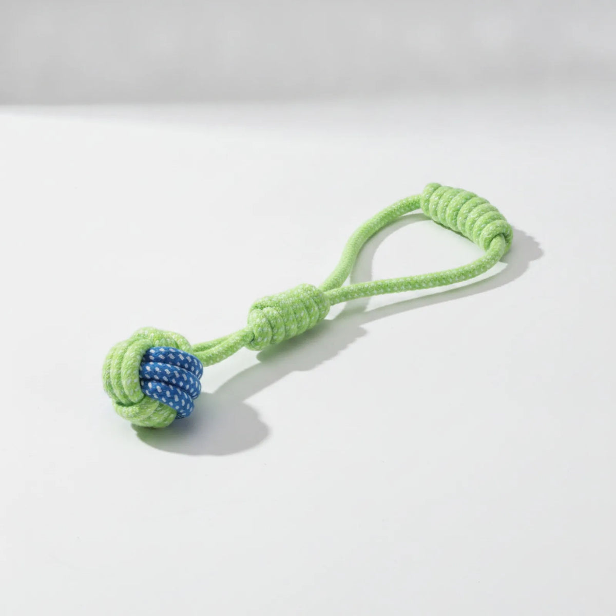 Jouet Chien Coton Brosse à Dents Interactif
