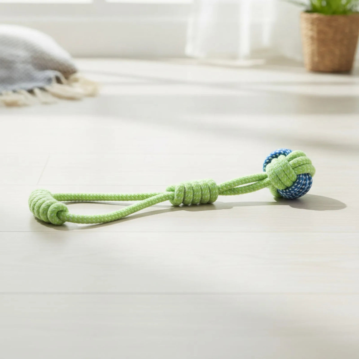 Jouet Chien Coton Brosse à Dents Interactif