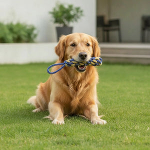 Jouet Maïs Coton pour Chien - Hygiène Dentaire & Jeu