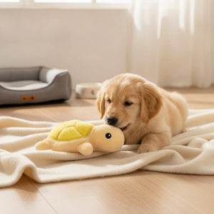 Jouet Tortue Sonore Résistante pour Chien