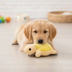 Jouet Tortue Sonore Résistante pour Chien