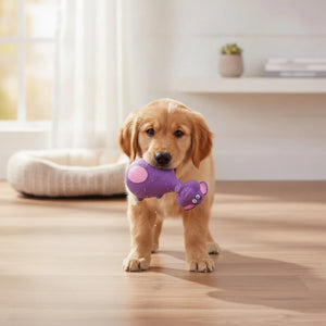 Jouet Vocal Chien Caoutchouc Anti-Bruit