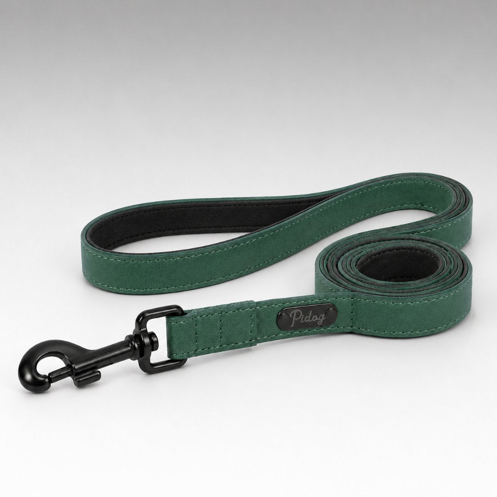 Laisse pour Chien Vert Sauge Collitoutou