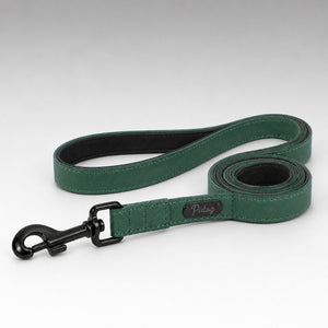 Laisse pour Chien Vert Sauge Collitoutou