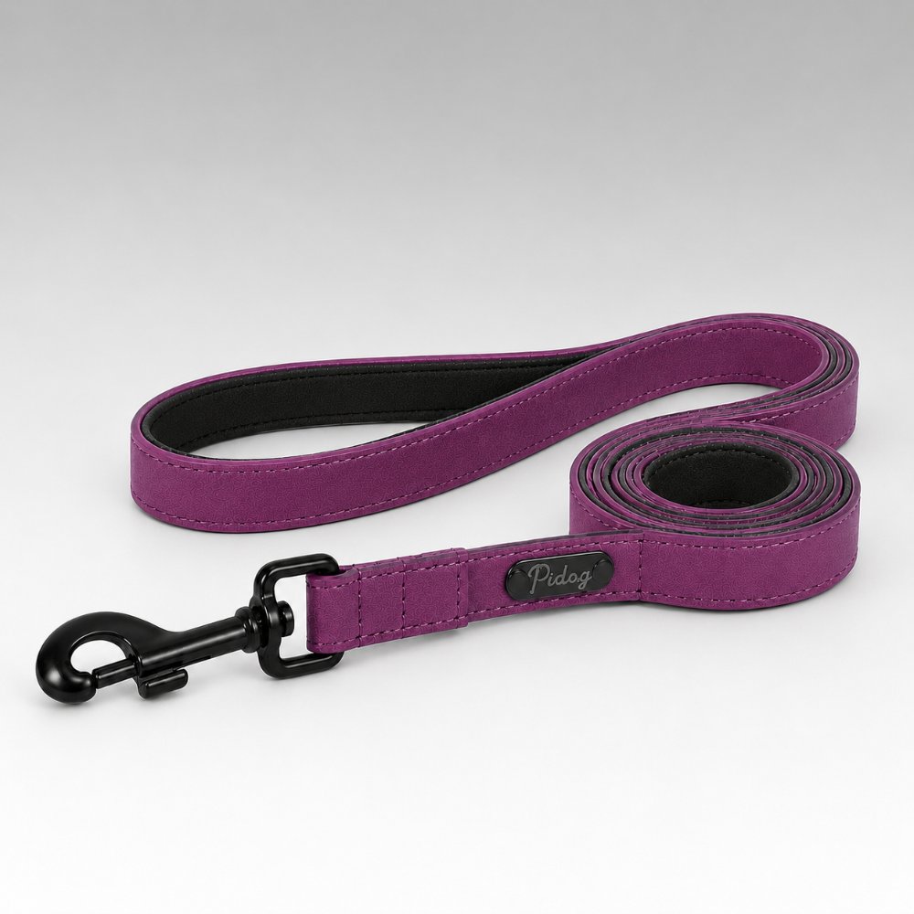 Laisse pour Chien Violet Prune Collitoutou