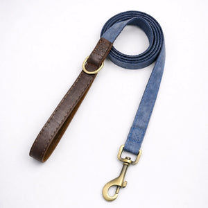 Laisse pour Chien Promedor Bleu