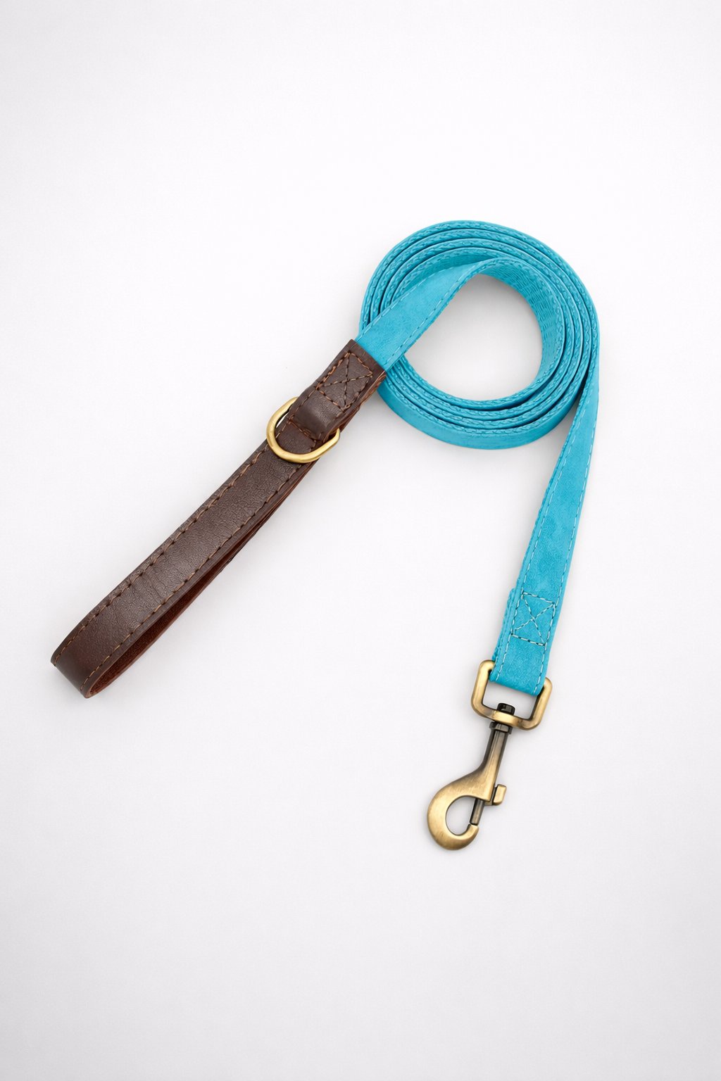 Laisse pour chien Promédor Cyan