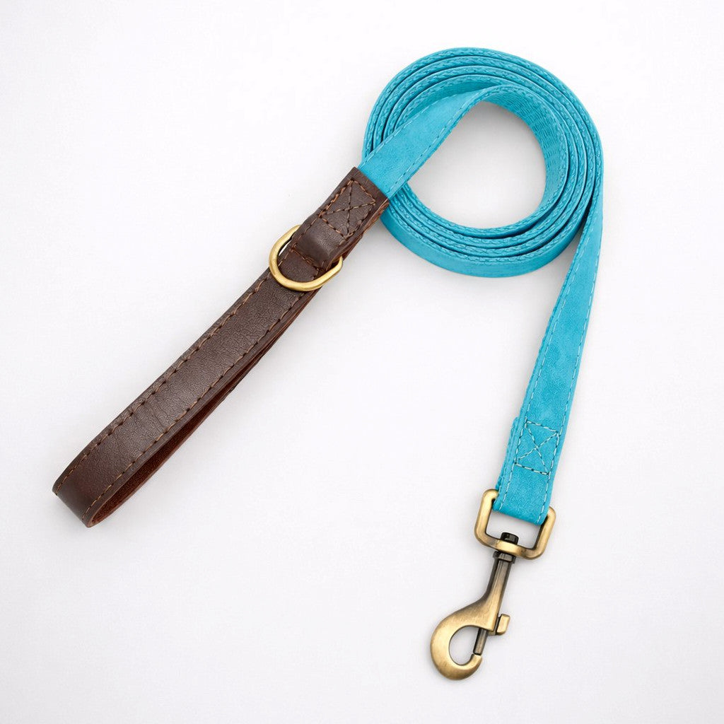 Laisse pour Chien Promedor Cyan