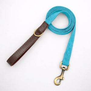 Laisse pour Chien Promedor Cyan