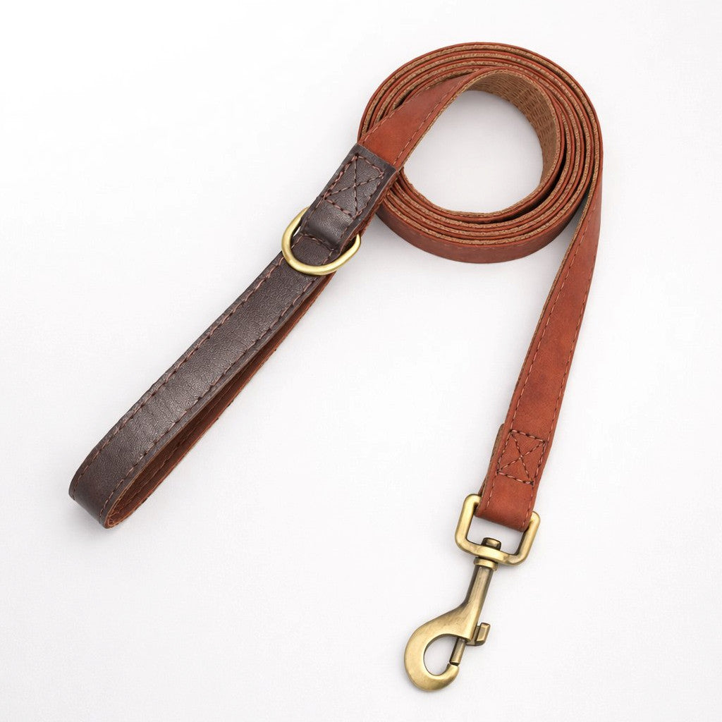 Laisse-pour-Chien-Promedor-Marron