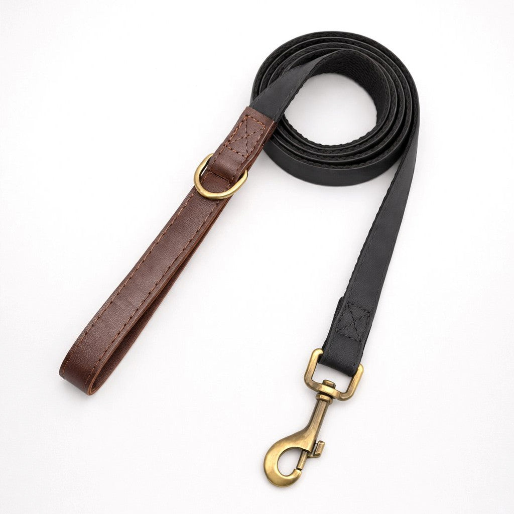 Laisse pour Chien Promedor Noir