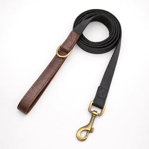 Laisse pour Chien Promedor Noir