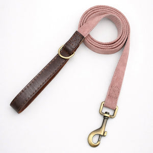 Laisse pour Chien Promedor Rose Pale