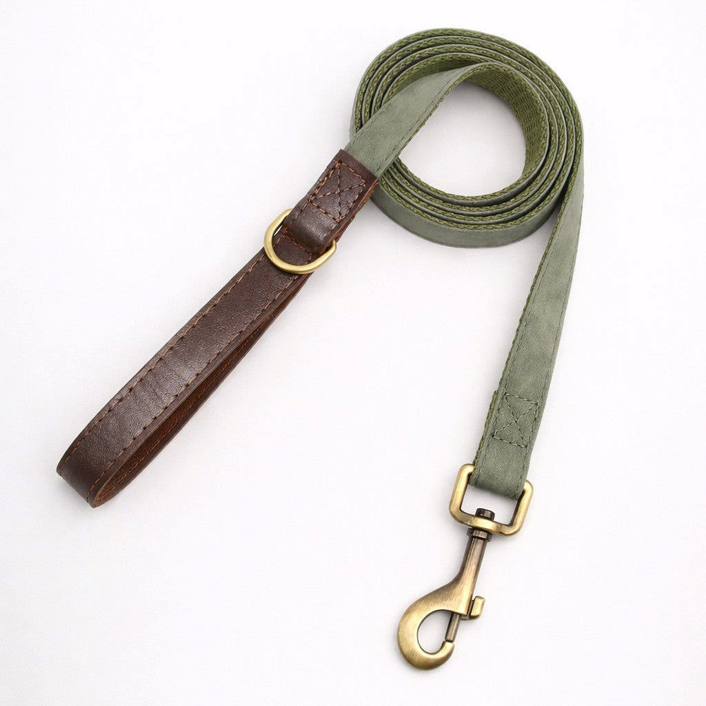 Laisse pour Chien Promedor Vert
