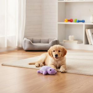 Peluche Tortue Sonore Résistante pour Chien Violette