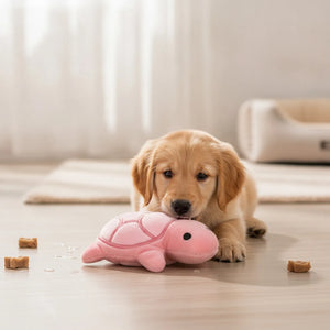 Peluche Tortue Sonore Résistante pour Chien